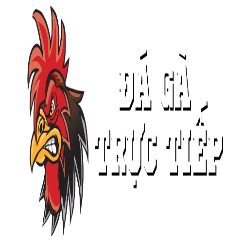 Đá Gà Trực Tiếp(Đá Gà Trực Tiếp)