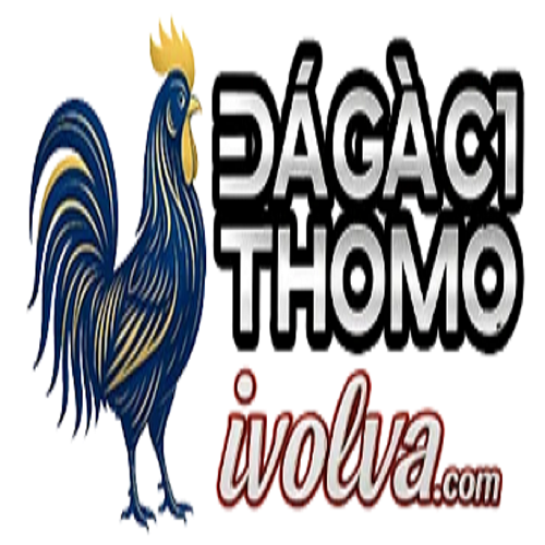 ĐÁ GÀ C1 | TRỰC TIẾP ĐÁ GÀ  THOMO XEM MIỄN PHÍ(ĐÁ GÀ C1 | TRỰC TIẾP ĐÁ GÀ  THOMO XEM MIỄN PHÍ)