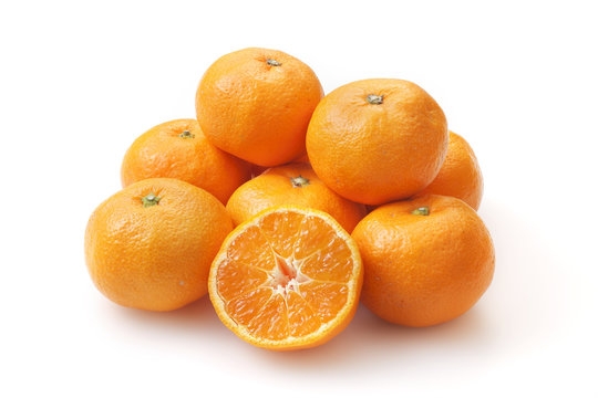 柑橘 