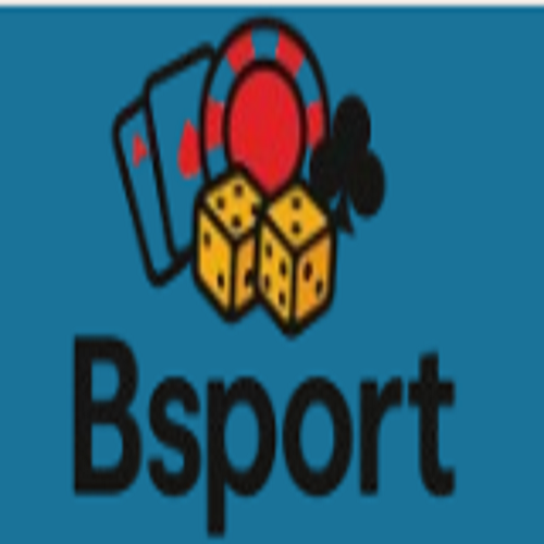 bsport cam(bsportcam)