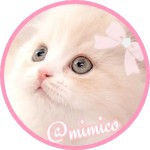 mimico / 女性のプロフィール画像